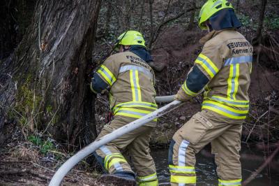 Kernen-Stetten: Baumbrand an Bachlauf fordert die Feuerwehr